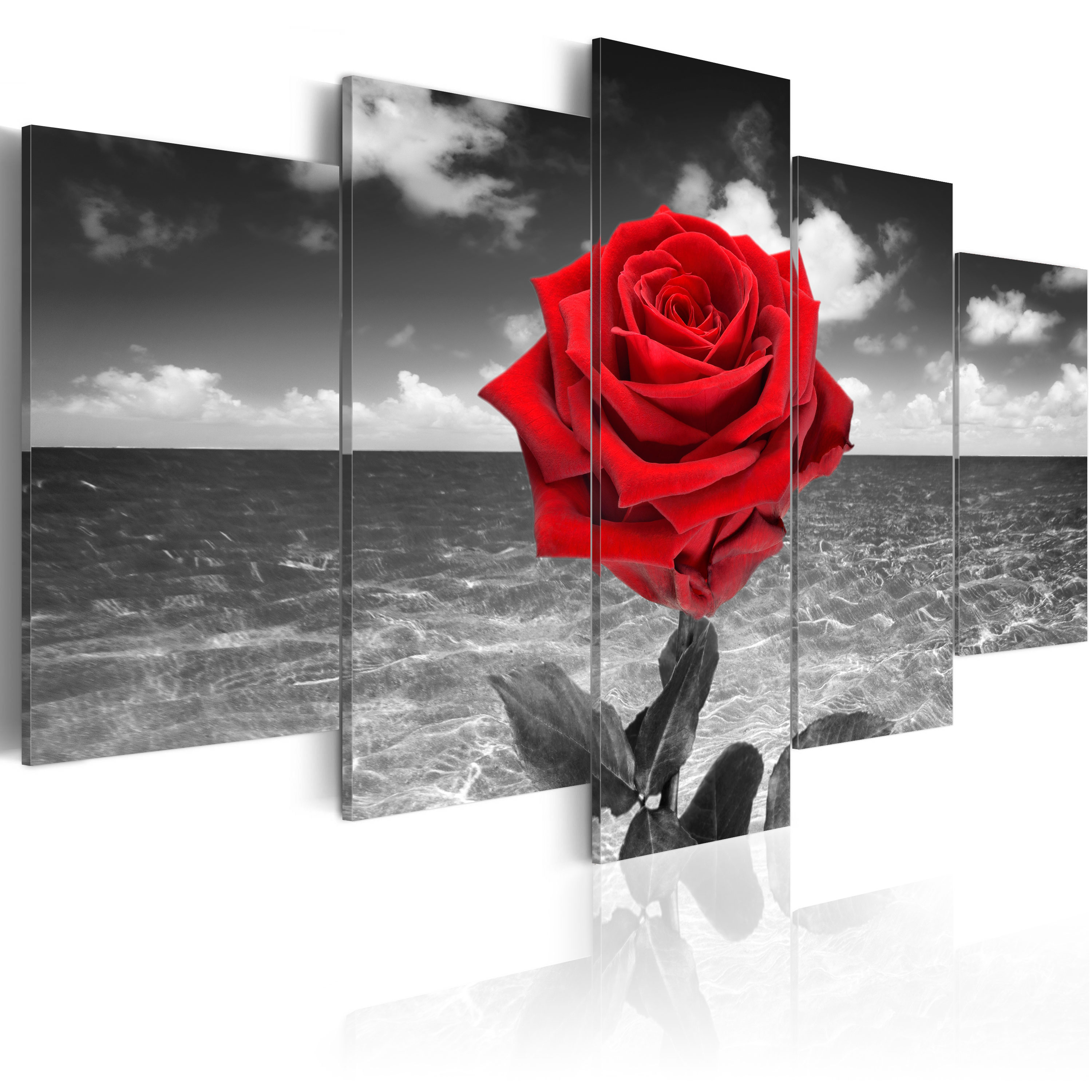 LEINWAND BILDER XXL KUNSTDRUCK WANDBILD! BLUMEN ROSE SCHWARZ WEIß ROT