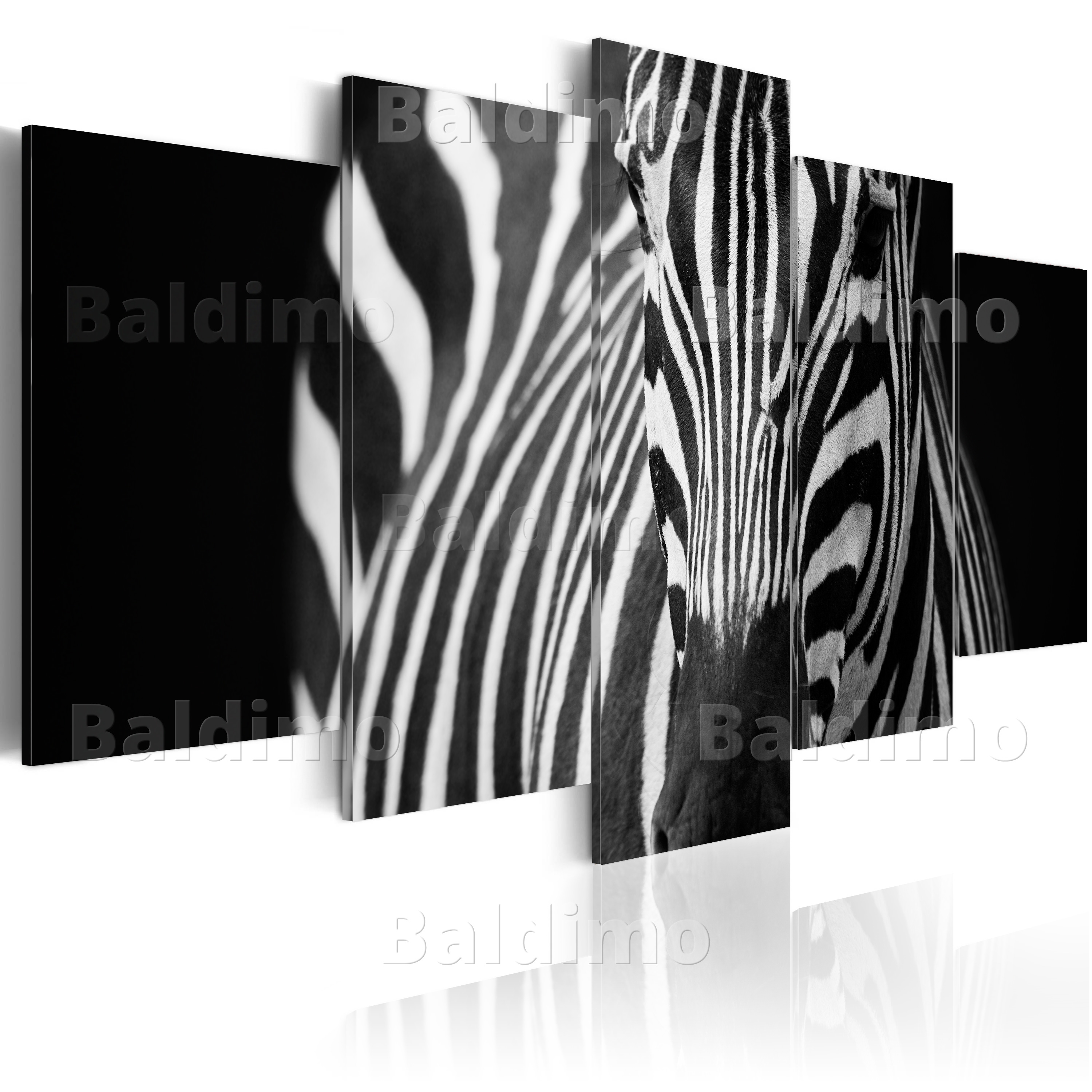 LARGE CANVAS WALL ART PRINT + IMAGE + PICTURE + PHOTO ZEBRA ANIMAL