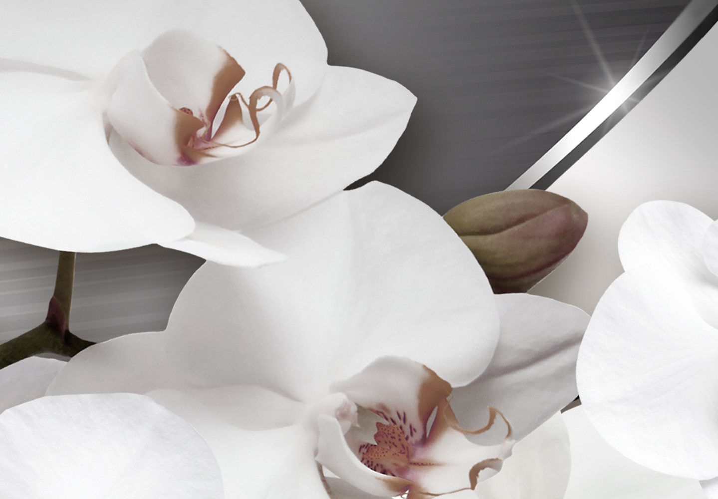 Wandbilder xxl Blumen Orchidee abstraktes Leinwand Bild Wohnzimmer b-C-0195-b-n