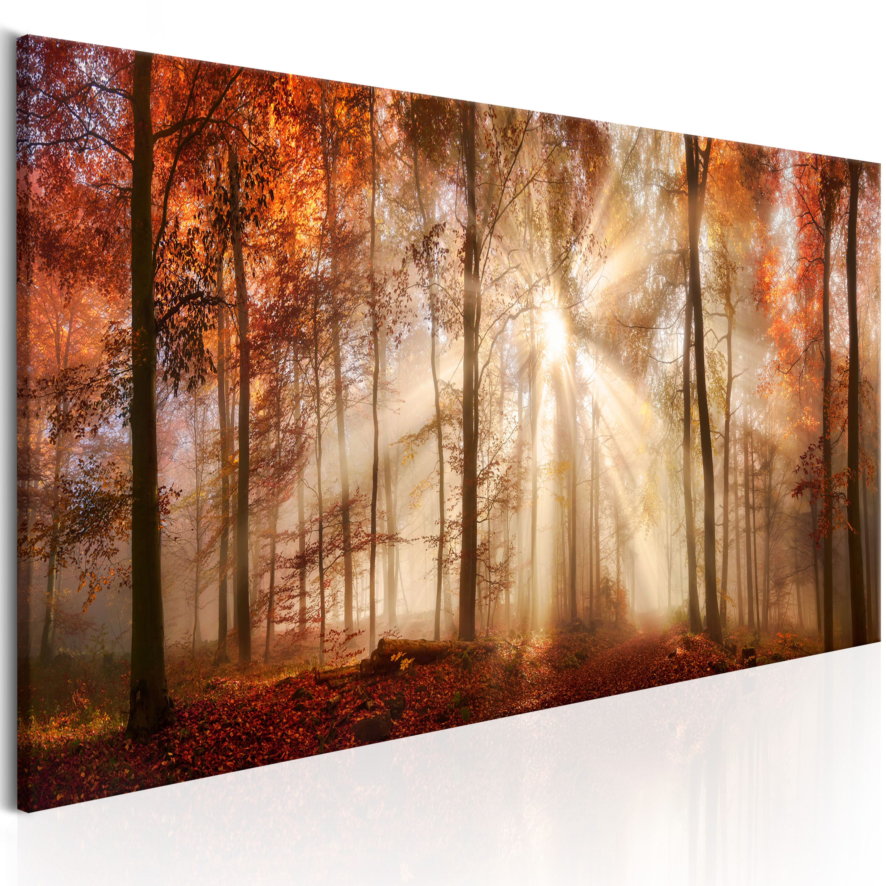 WANDBILDER XXL WALD LANDSCHAFT AUSBLICK NATUR LEINWAND BILDER cB0187