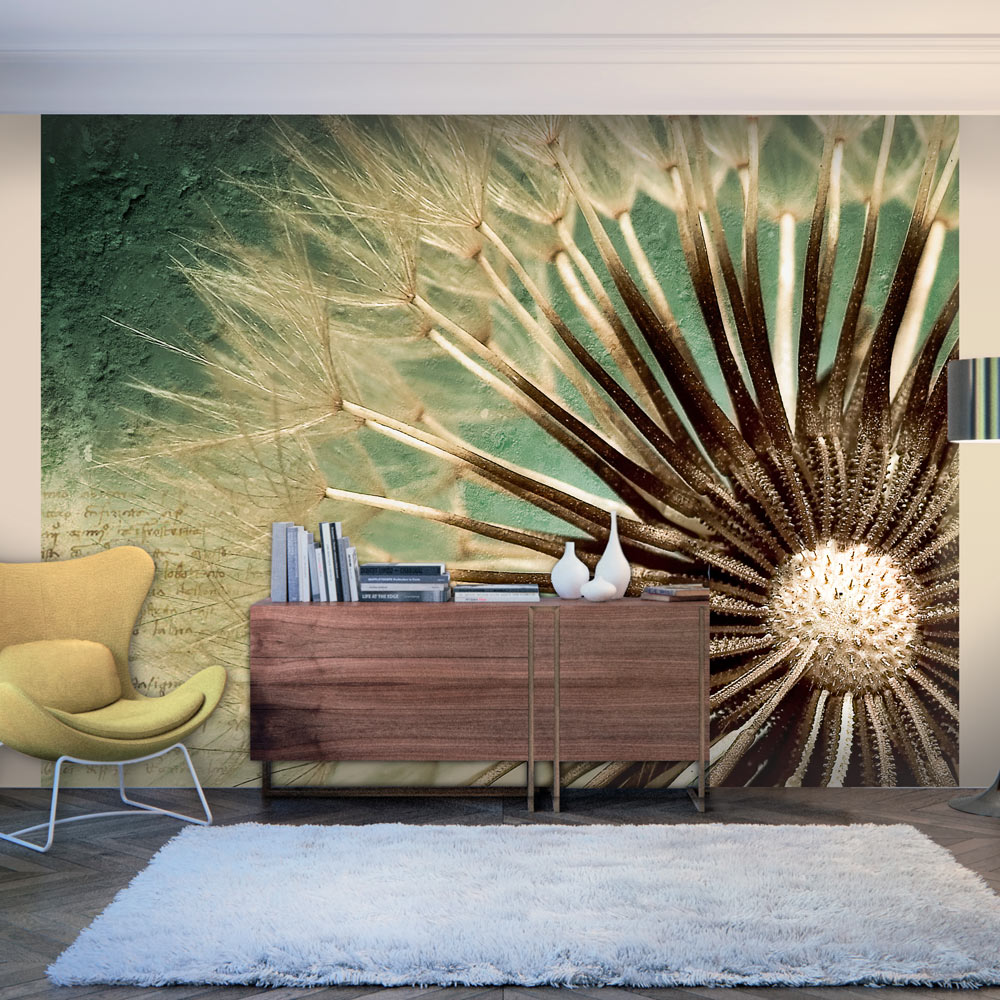 Wallpaper - Focus on dandelion - 300x231