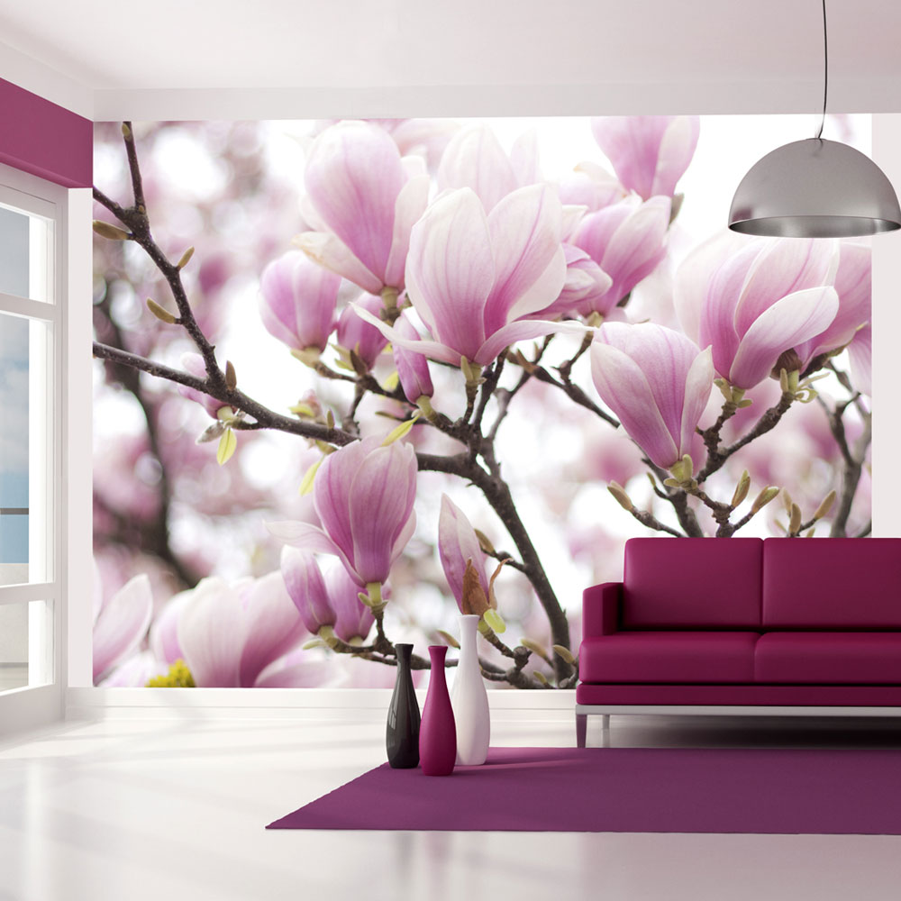 Wallpaper - Magnolia bloosom - 350x270