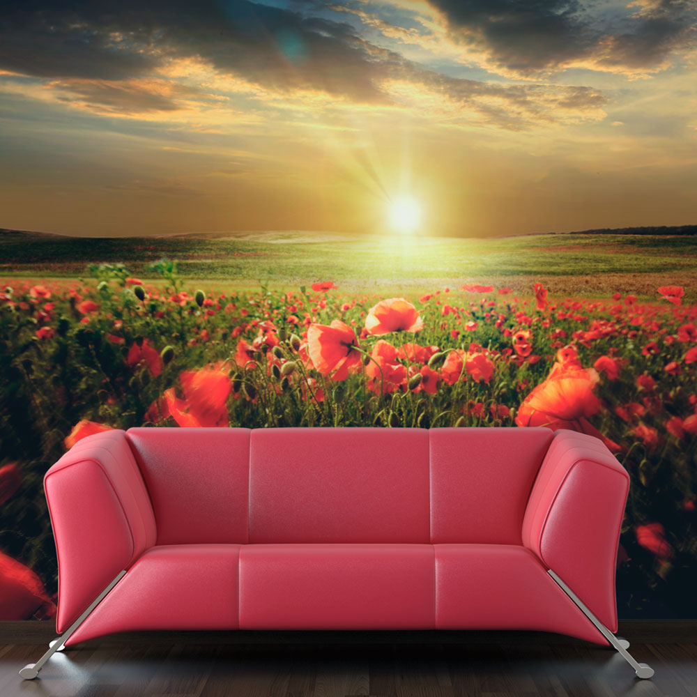 Wallpaper - Morning on the poppy meadow - 200x154