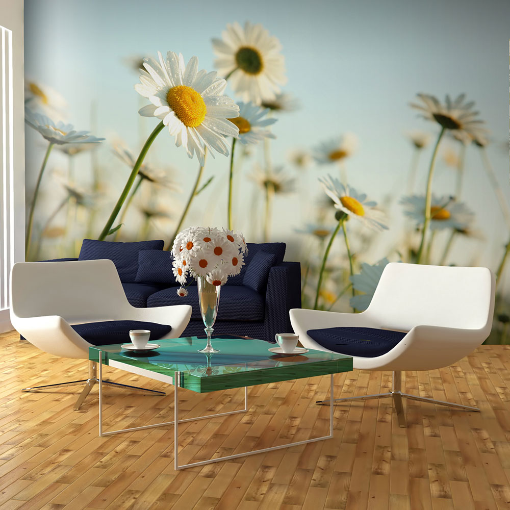 Wallpaper - Daisies - spring meadow - 450x270