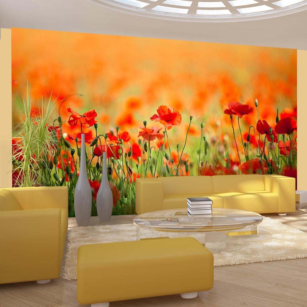 Wallpaper - Poppies in shiny summer day - 450x270