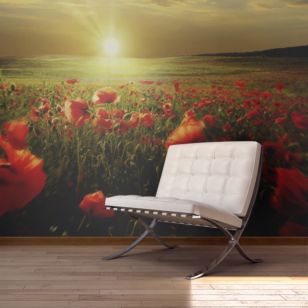 Wallpaper - Morning on the poppy meadow - 450x270