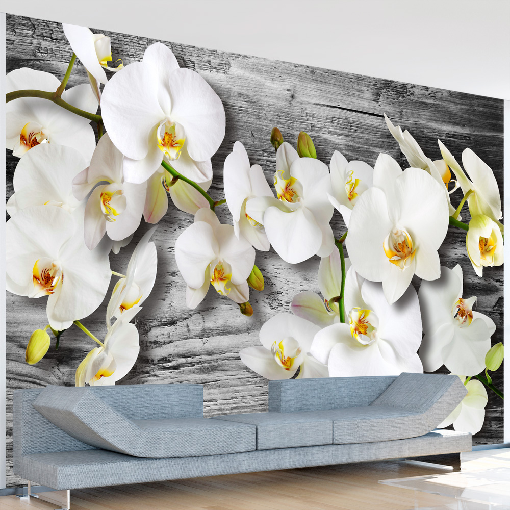 Wallpaper - Callous orchids III - 400x280