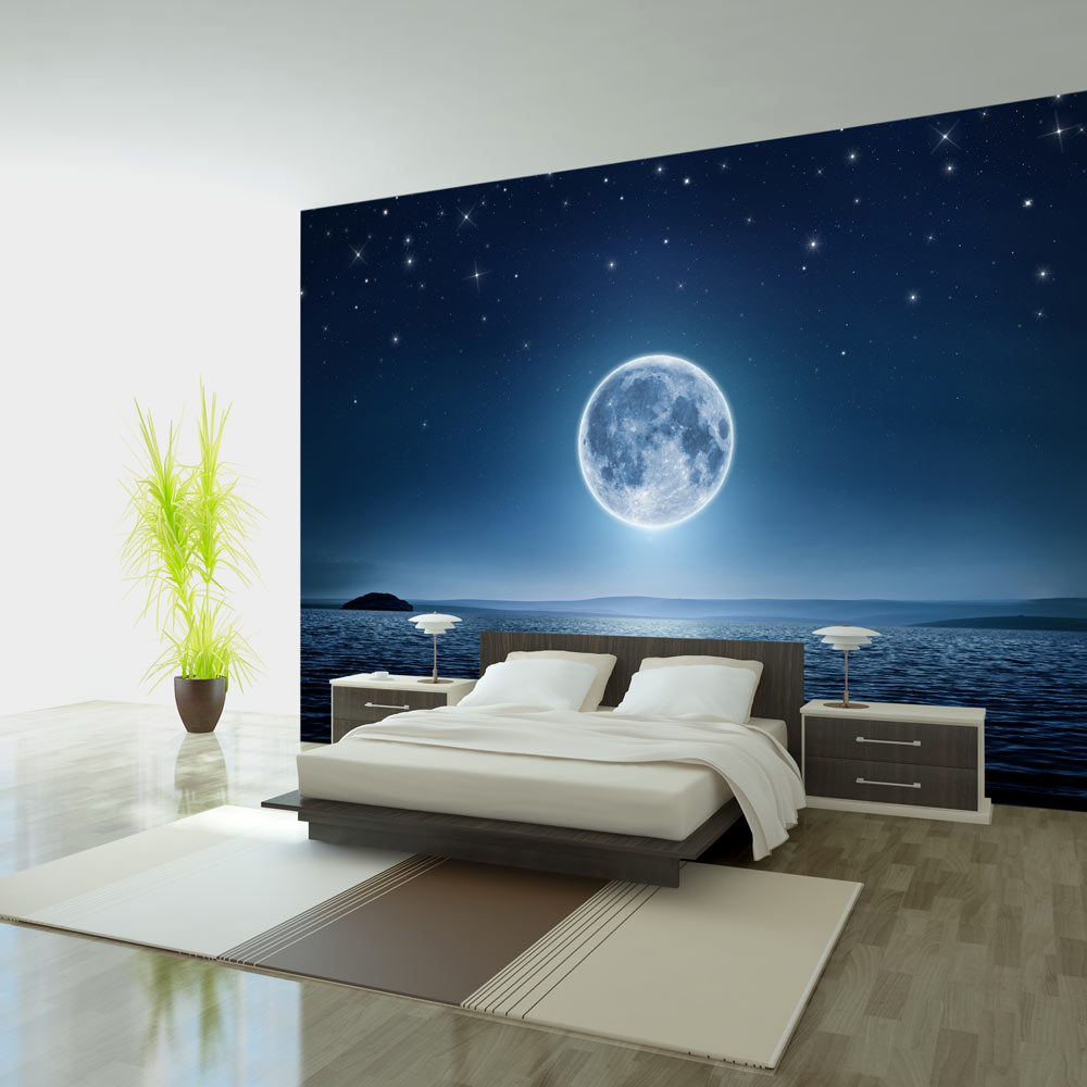 Wallpaper - Moonlit night - 200x140