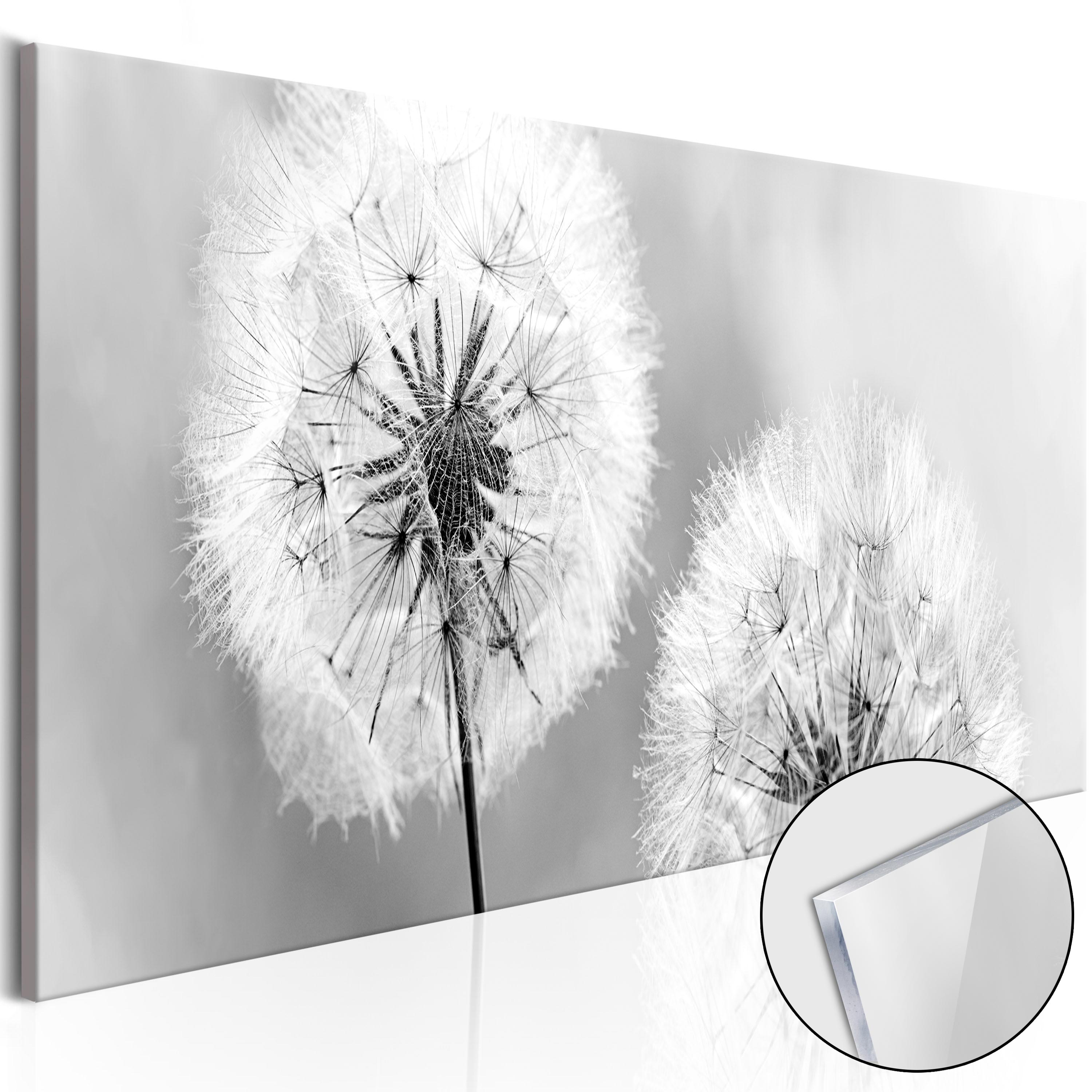 Wandbilder 100x50 Glasbild Druck auf Glas Pusteblume Pflanzen 