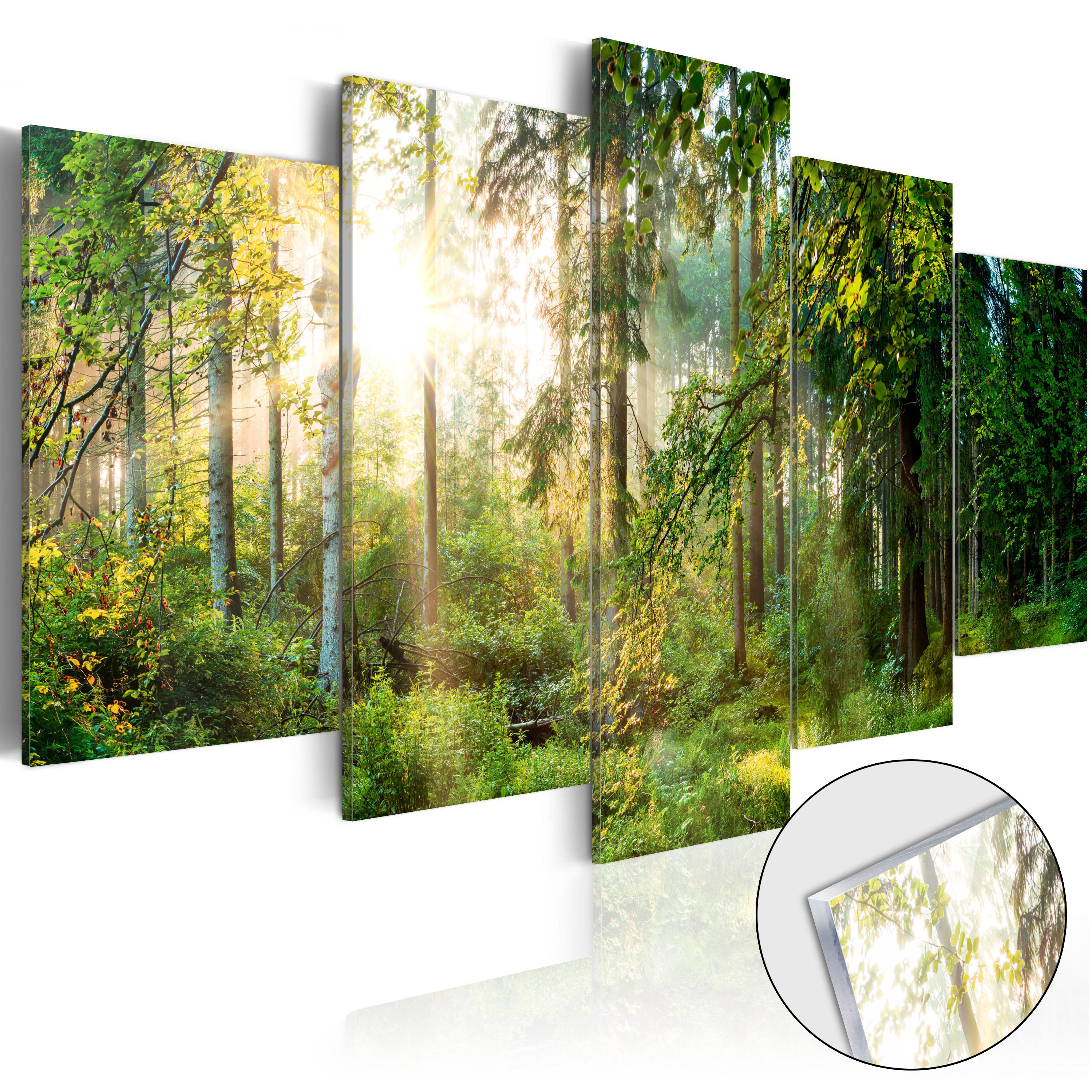 Acrylic Glass Wall Art Image Photo Print Nature Landscape Forest c-C-0026-k-n Acrylic Glass Wall Art Image Photo Print Nature Landscape Forest c-C-0026-k-n