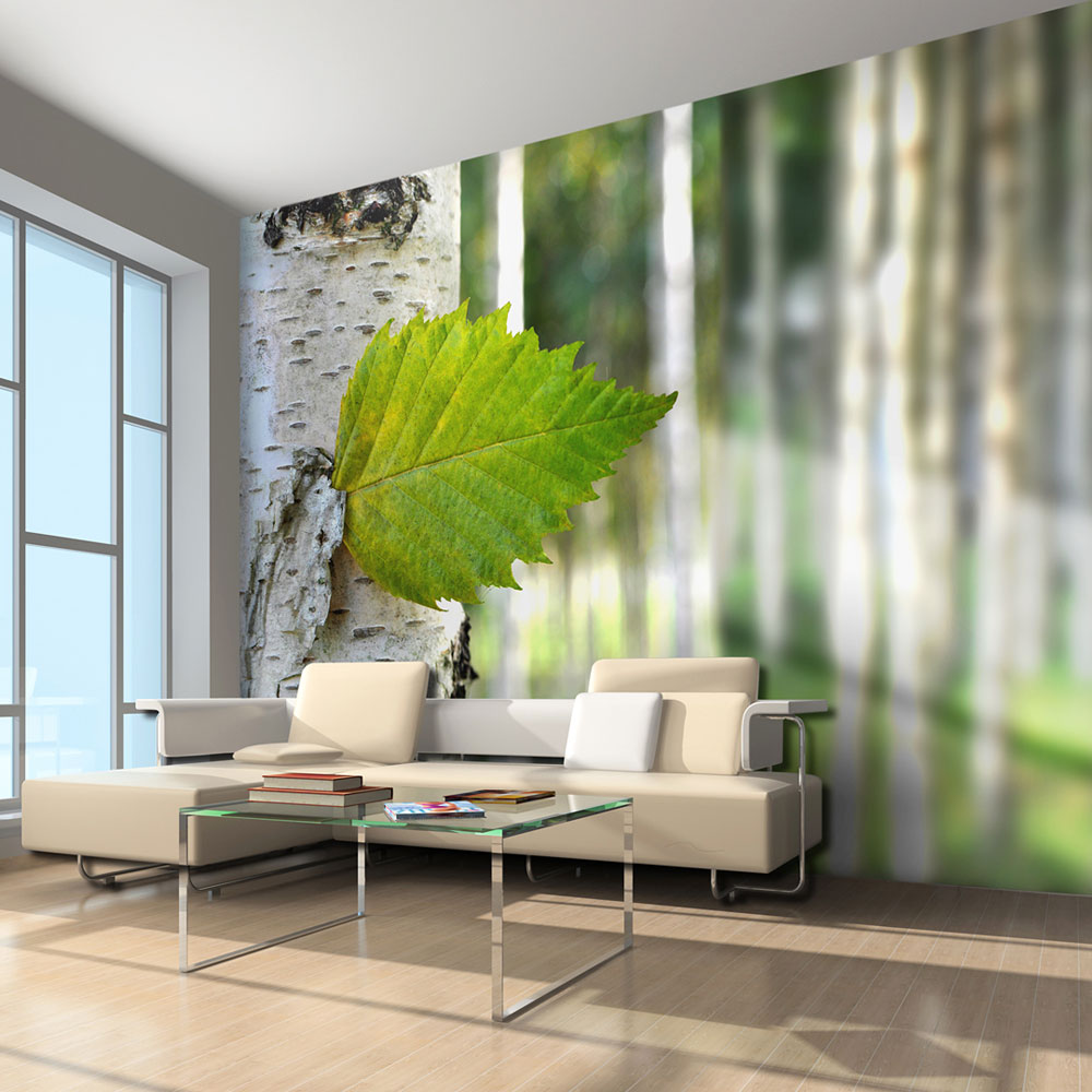 Wallpaper - Birch leaf - 350x270