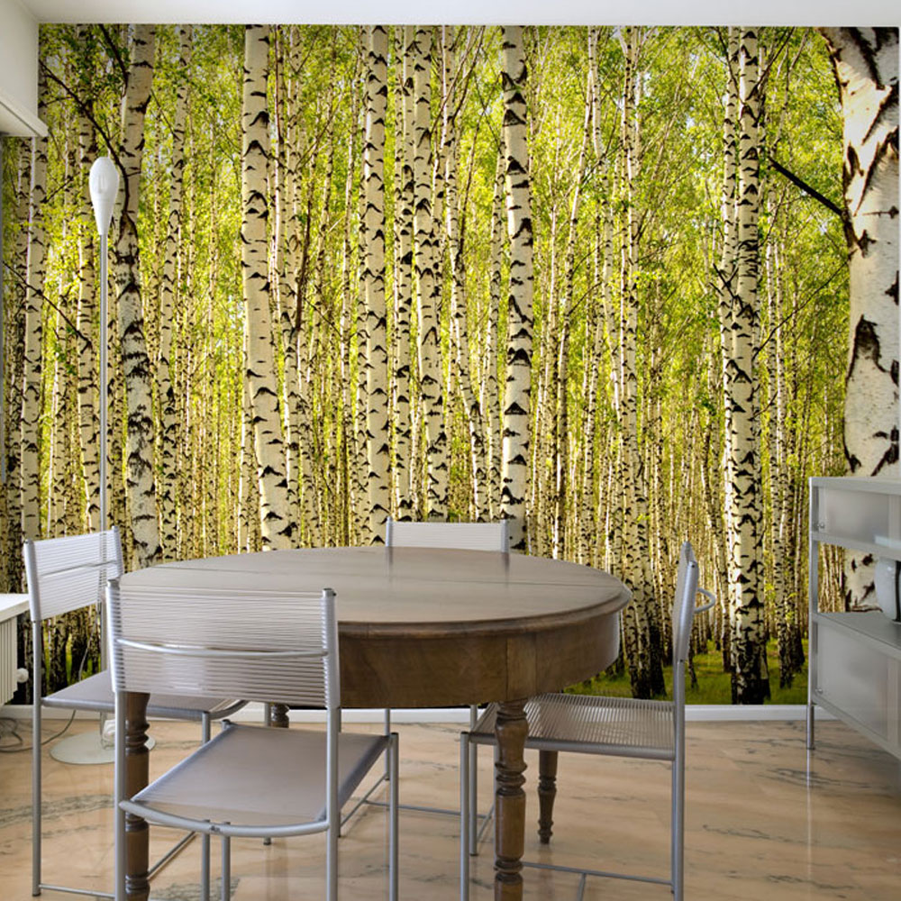Wallpaper - Birch forest - 200x154