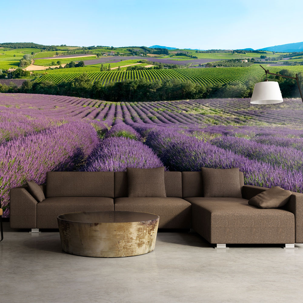 Wallpaper - Lavender fields - 400x309