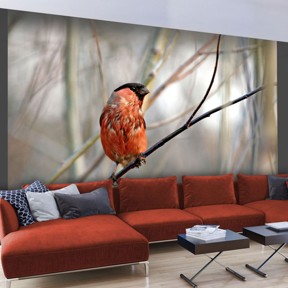 Wallpaper - Bullfinch in the forest - 200x154
