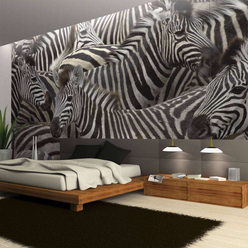 Wallpaper - Herd of zebras - 250x193