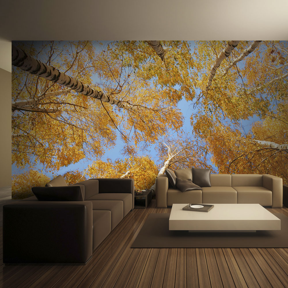 Wallpaper - Autumnal treetops - 300x231