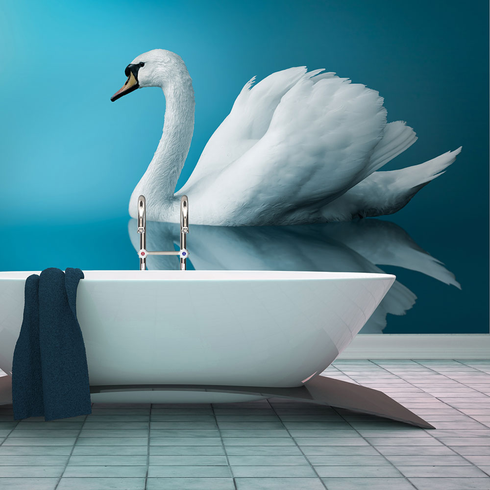 Wallpaper - swan - reflection - 400x309