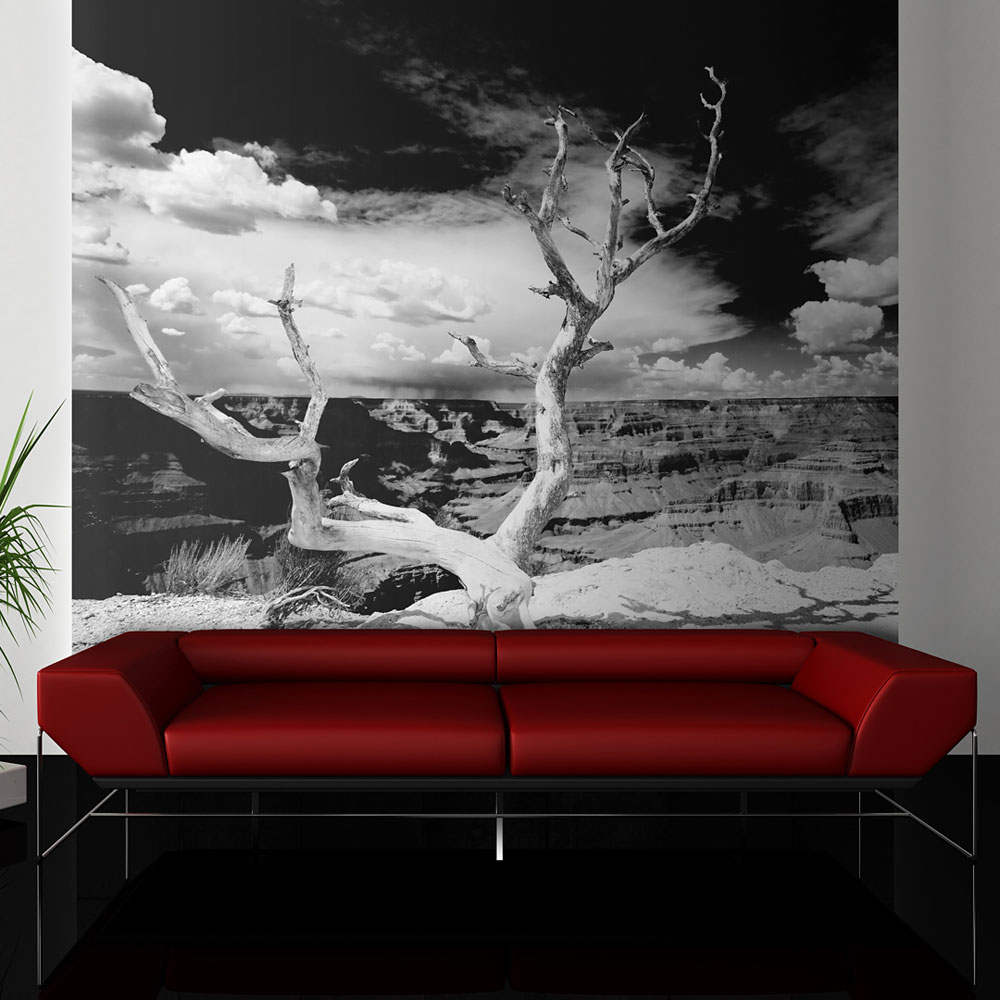 Wallpaper - Grand Canyon tree - 200x154