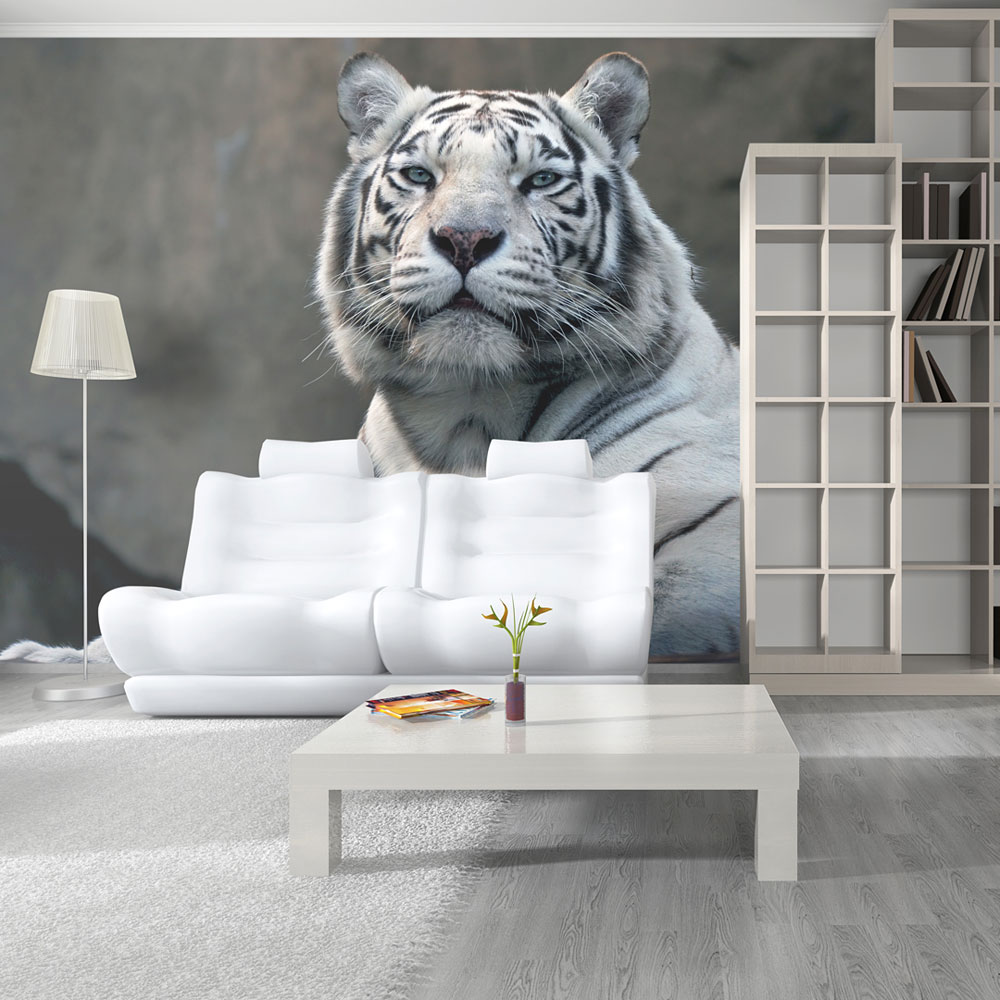 Wallpaper - Bengali tiger in zoo - 200x154