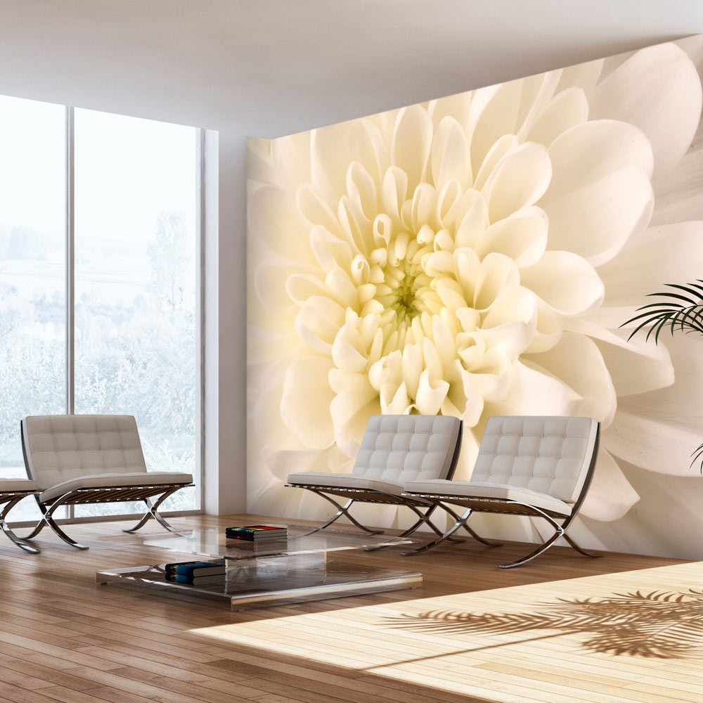 Wallpaper - White dahlia - 350x270