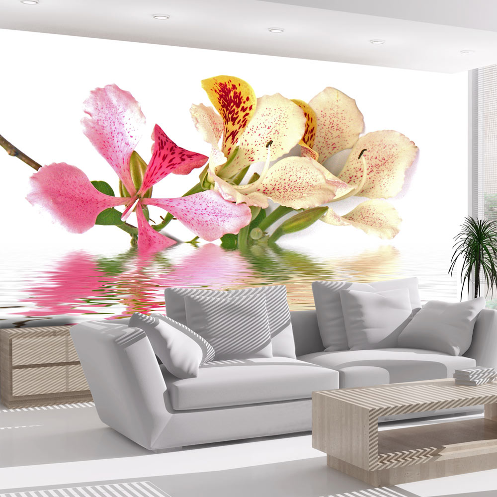 Wallpaper - Tropical flowers - orchid tree (bauhinia) - 350x270