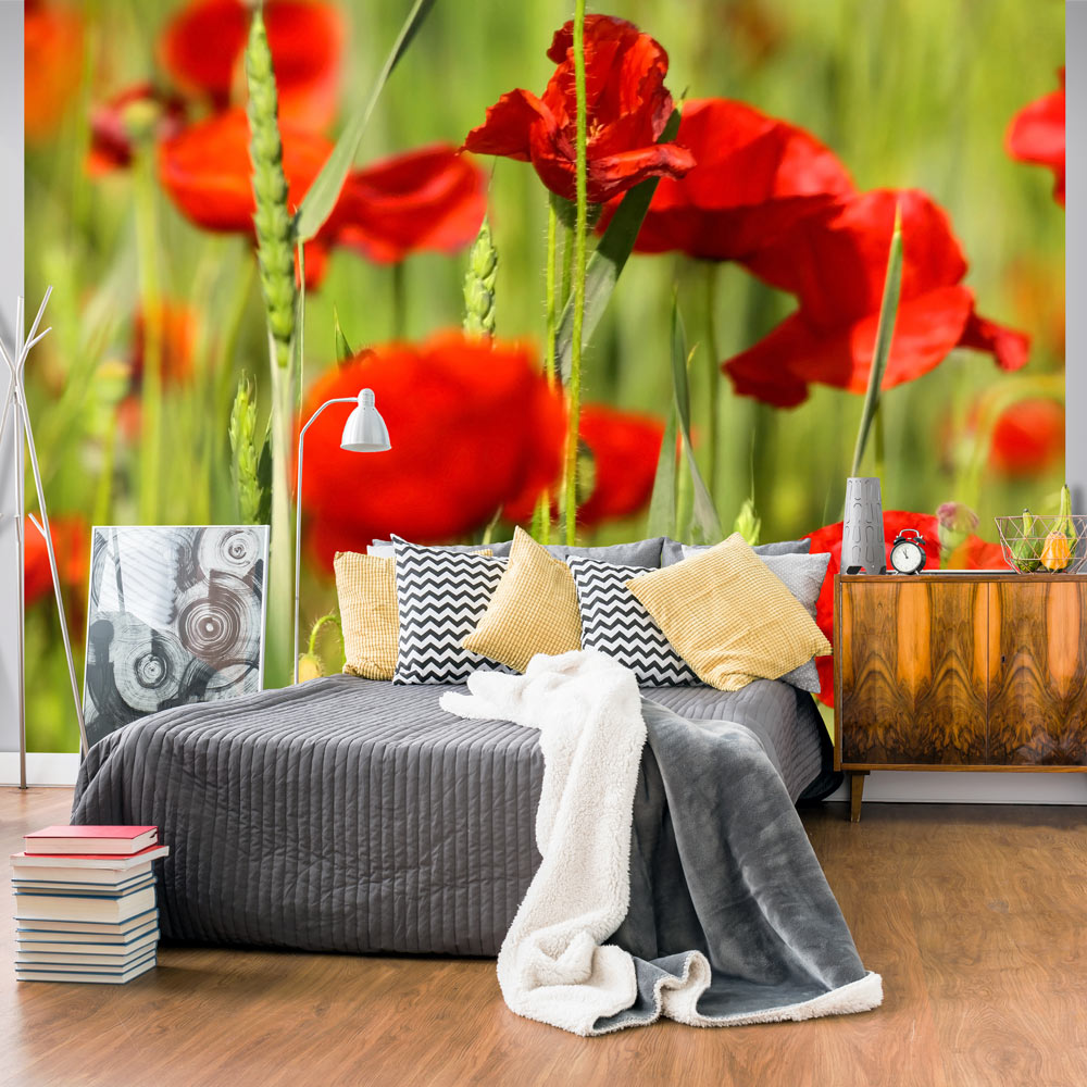 Wallpaper - Cereal field with poppies - 400x309