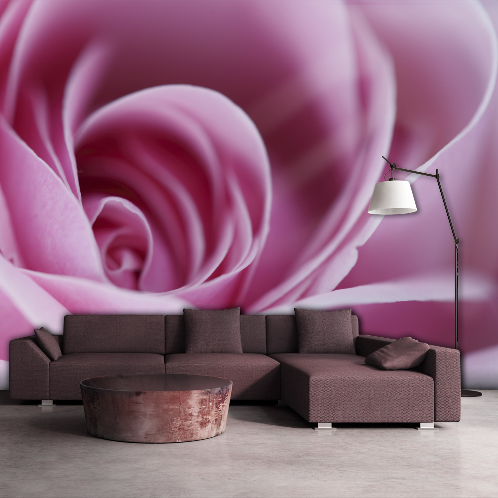 Wallpaper - Pink rose - 250x193