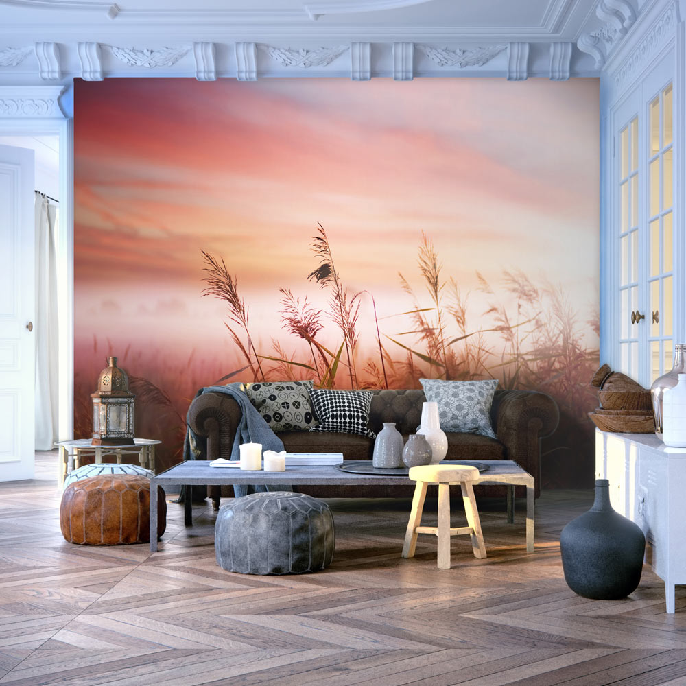 Wallpaper - Morning meadow - 250x193