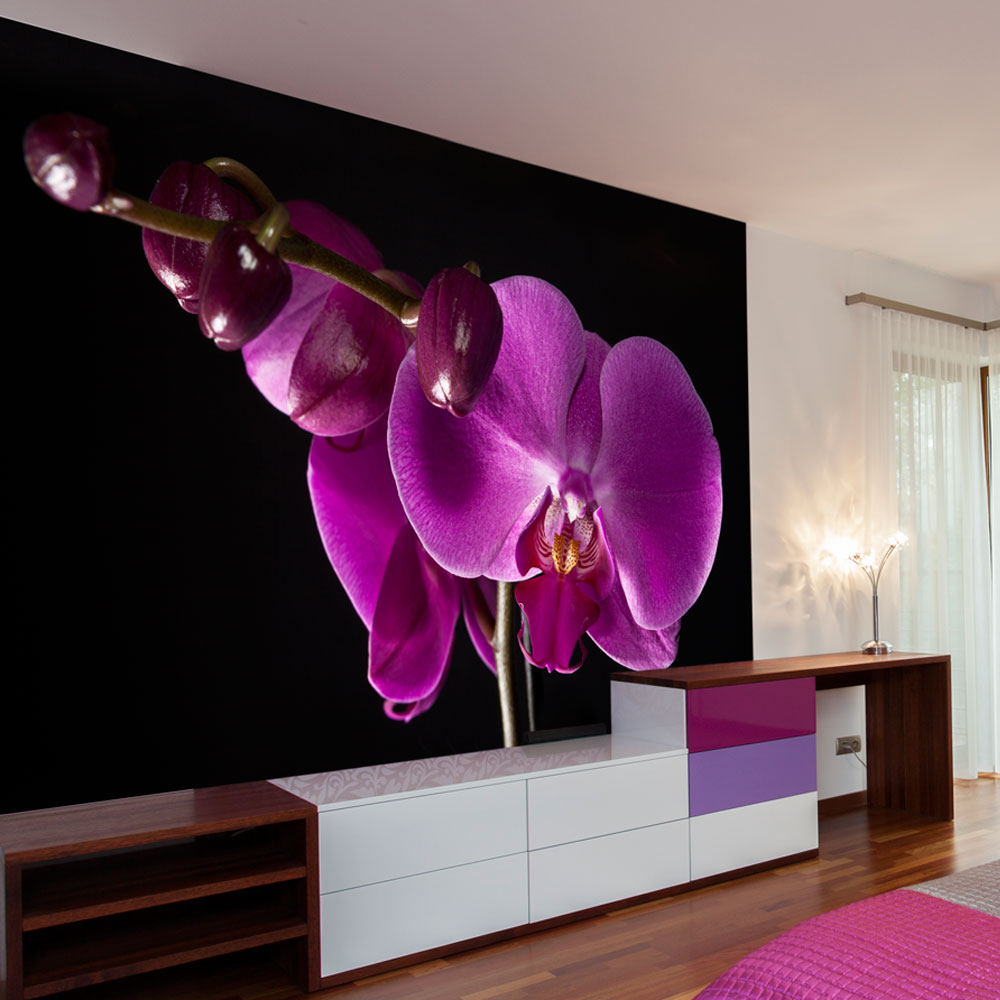 Wallpaper - elegant  orchis - 400x309