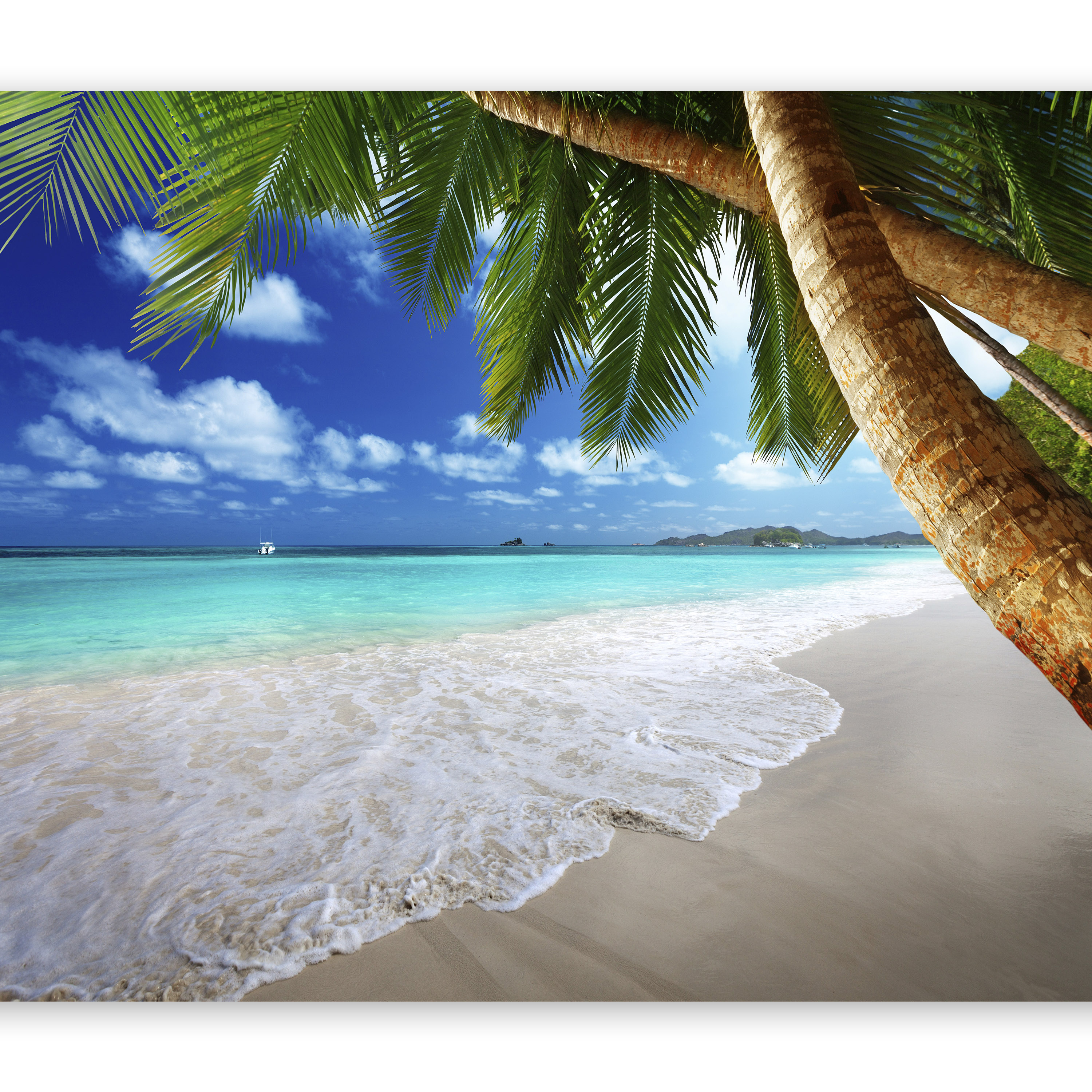 Photo Wallpaper Wall Mural Poster Decoration Picture Peel&stick/fleece