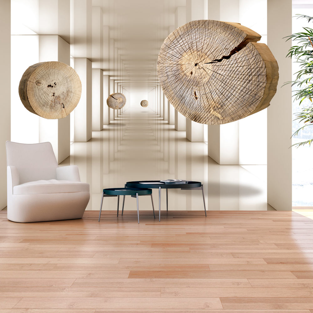Self-adhesive Wallpaper - Flying Discs of Wood - 147x105