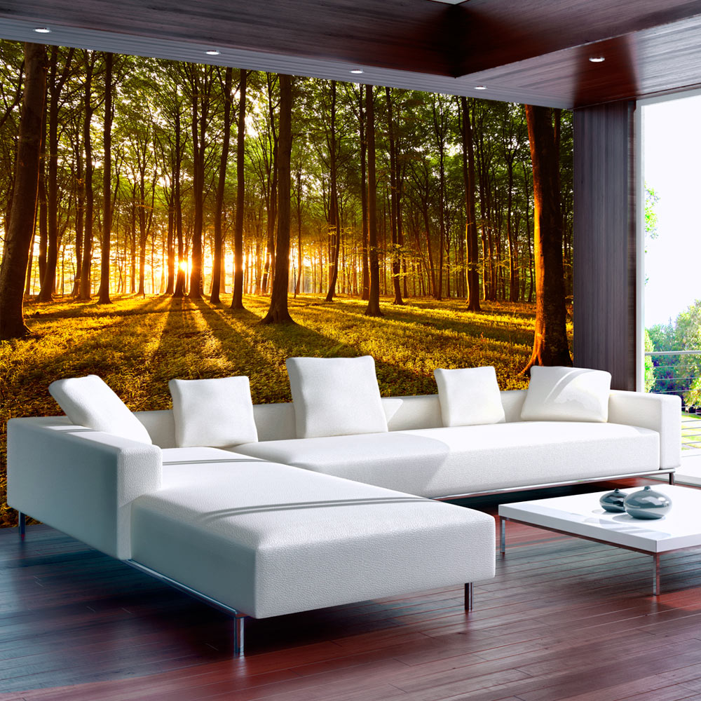 Self-adhesive Wallpaper - Summer: Morning in the forest - 98x70