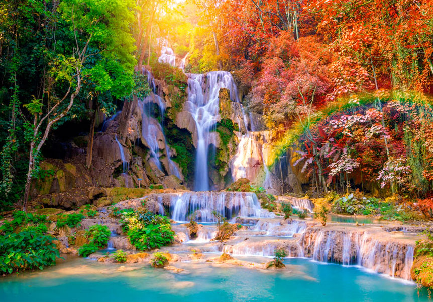 NATURE Photo Wallpaper Wall Mural Picture Non-Woven/Self-Adhesive c-B