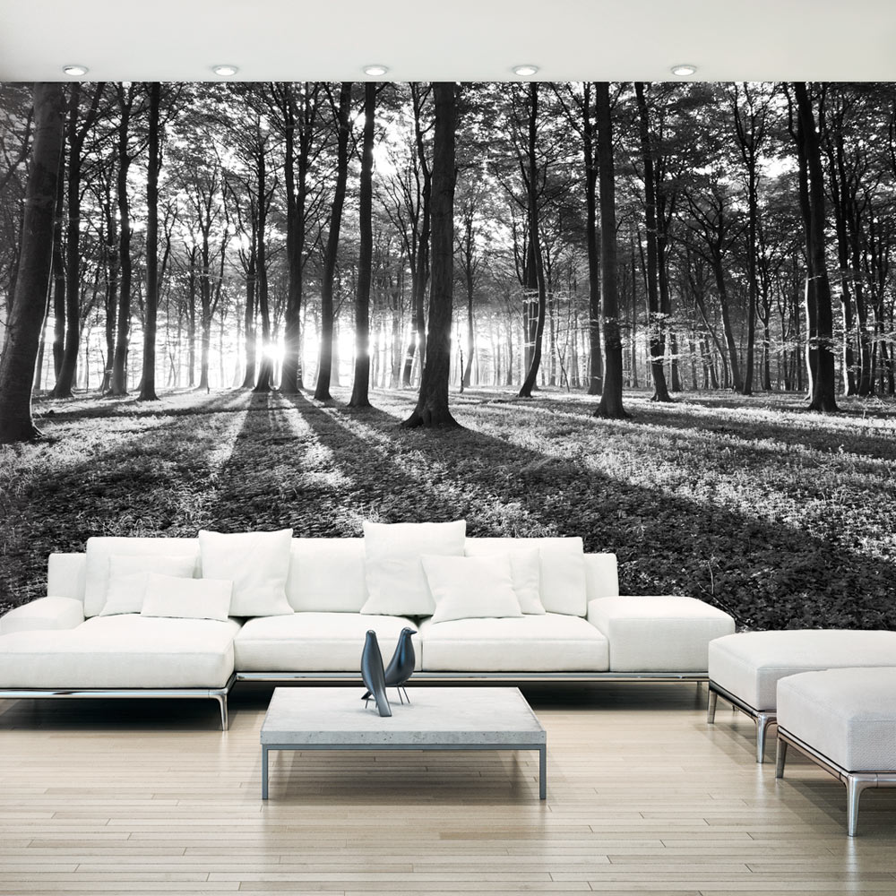 Self-adhesive Wallpaper - Grey Wilderness II - 490x280