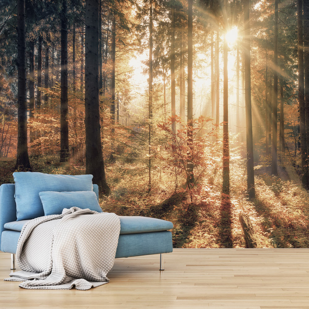 Self-adhesive Wallpaper - Autumnal Forest - 147x105