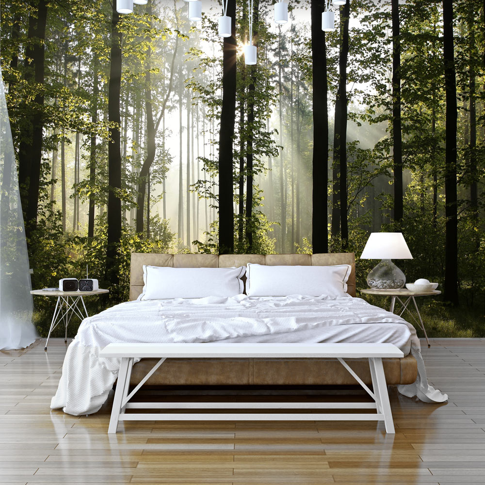 Self-adhesive Wallpaper - Forest: Morning Sunlight - 147x105