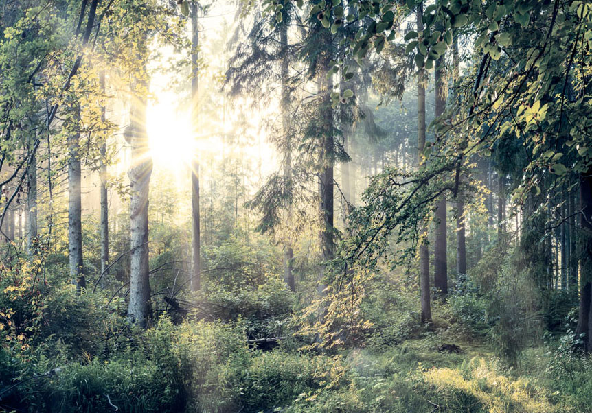 Bild 8 von 8