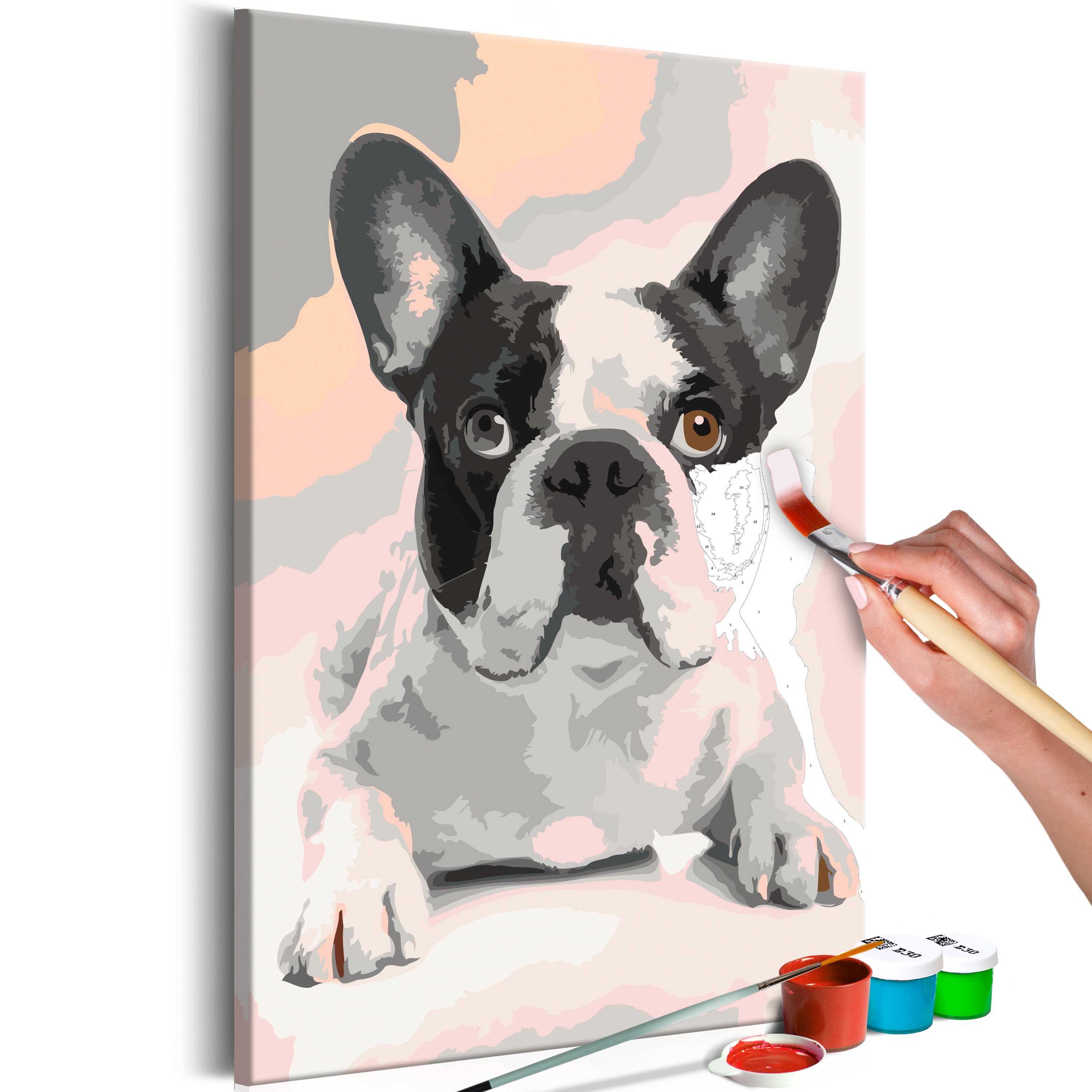 DIY canvas painting - French Bulldog - 40x60
