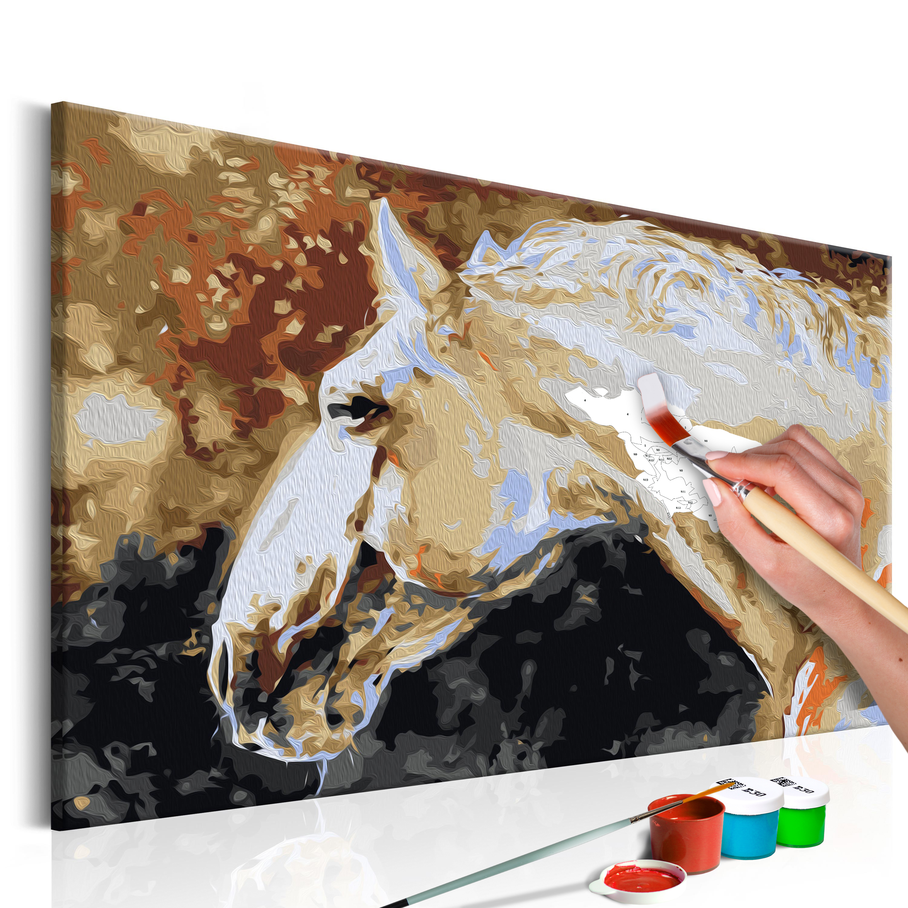 DIY canvas painting - White Horse - 60x40