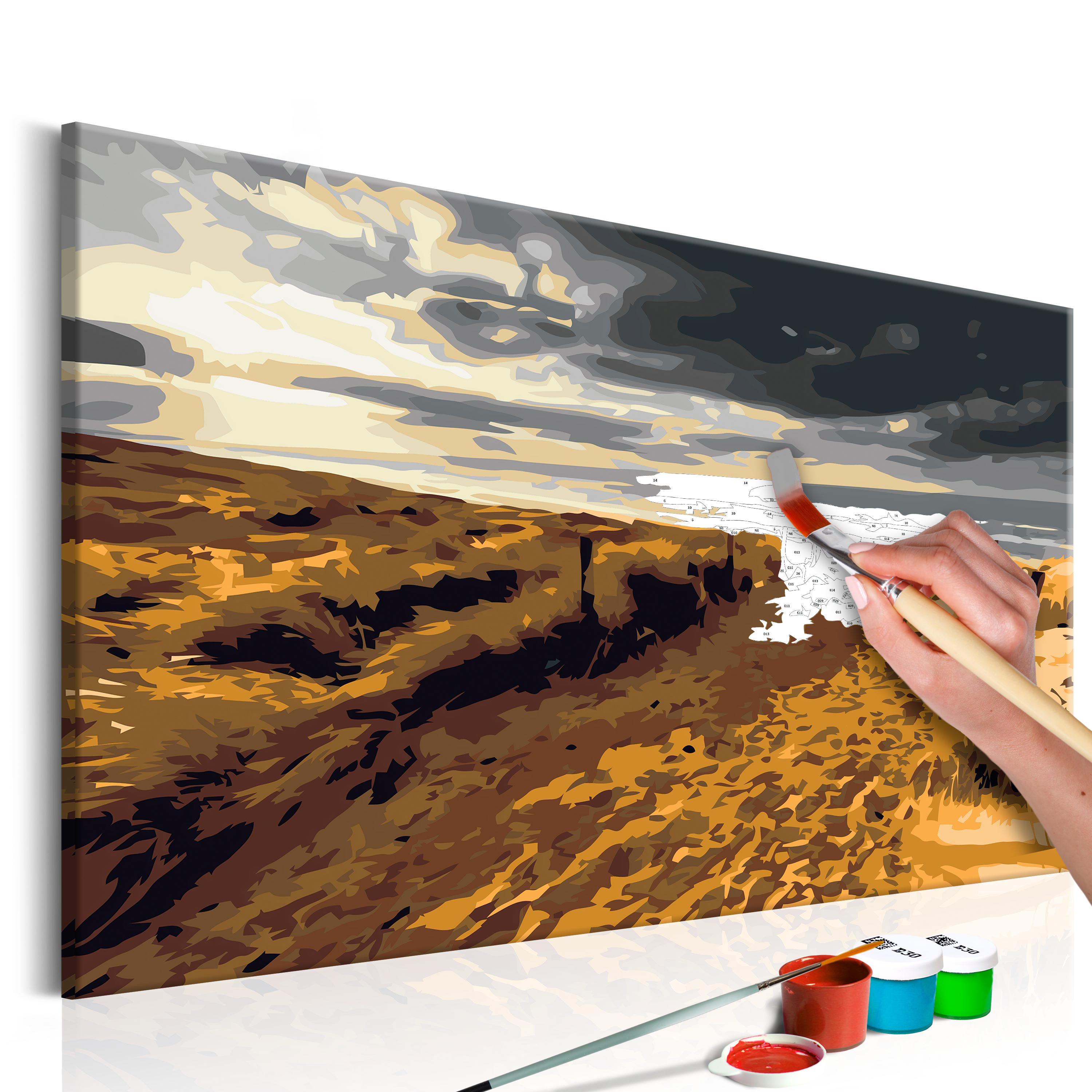 DIY canvas painting - Wild Beach - 60x40
