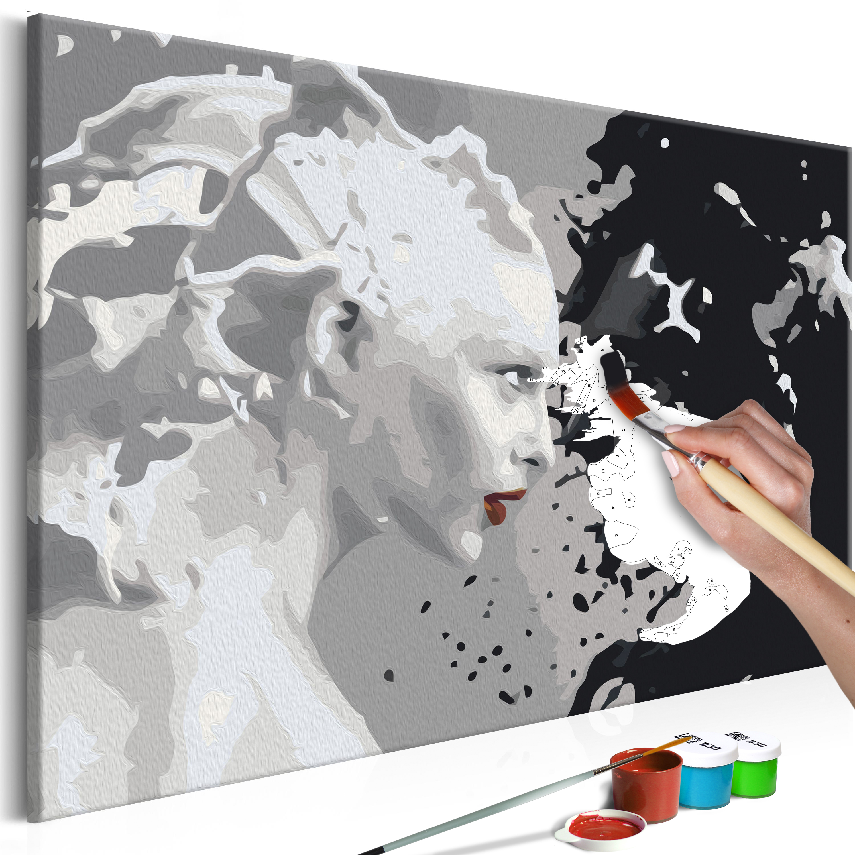 DIY canvas painting - Black & White - 60x40