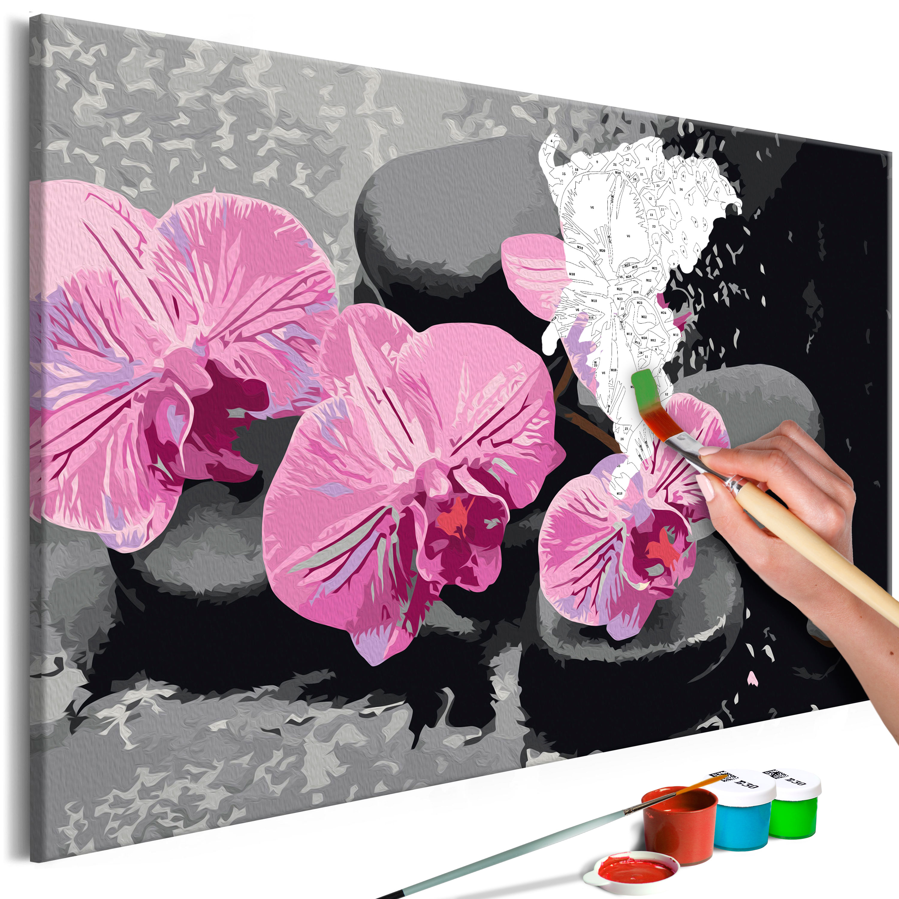 DIY canvas painting - Orchid With Zen Stones (Black Background) - 60x40