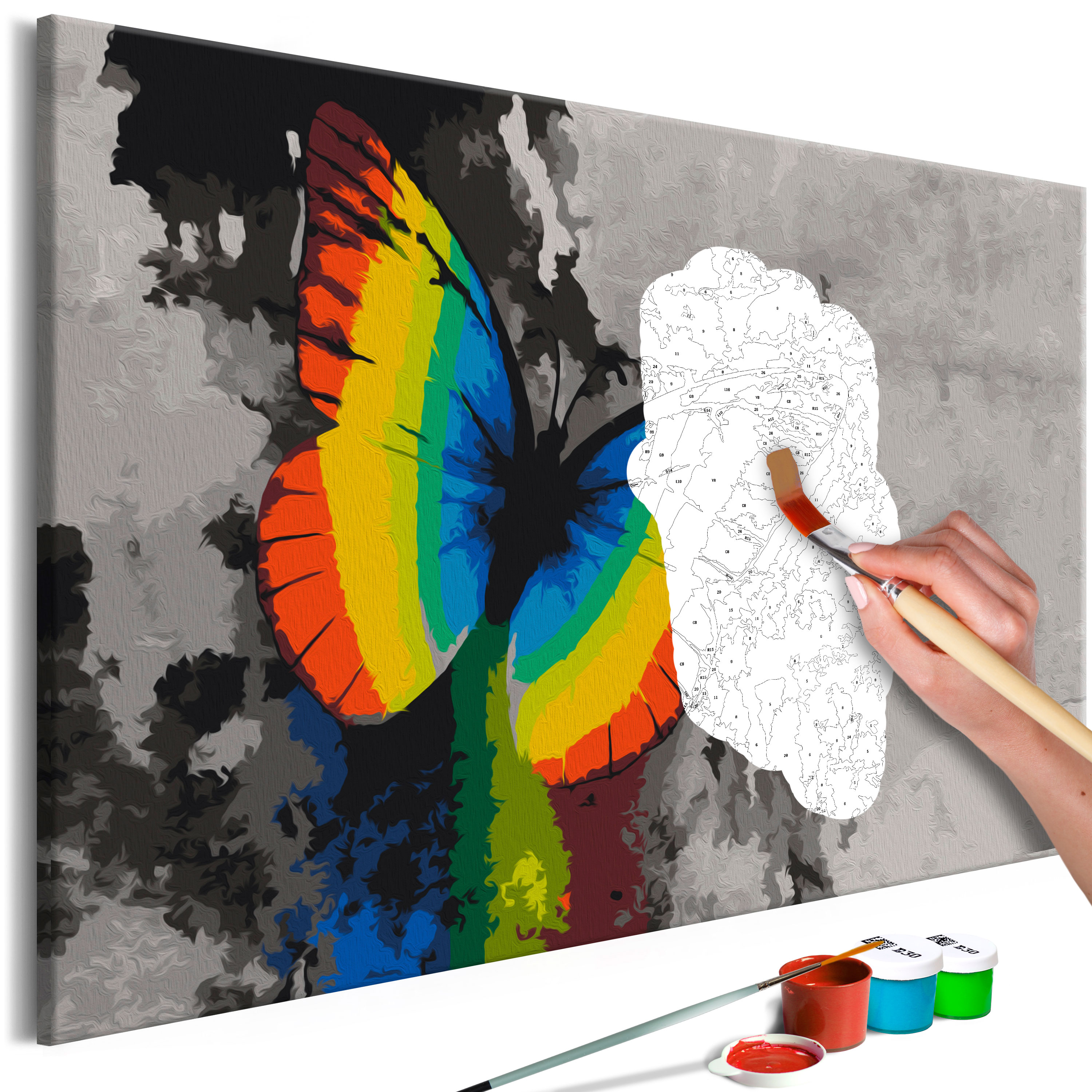 DIY canvas painting - Colourful Butterfly - 60x40