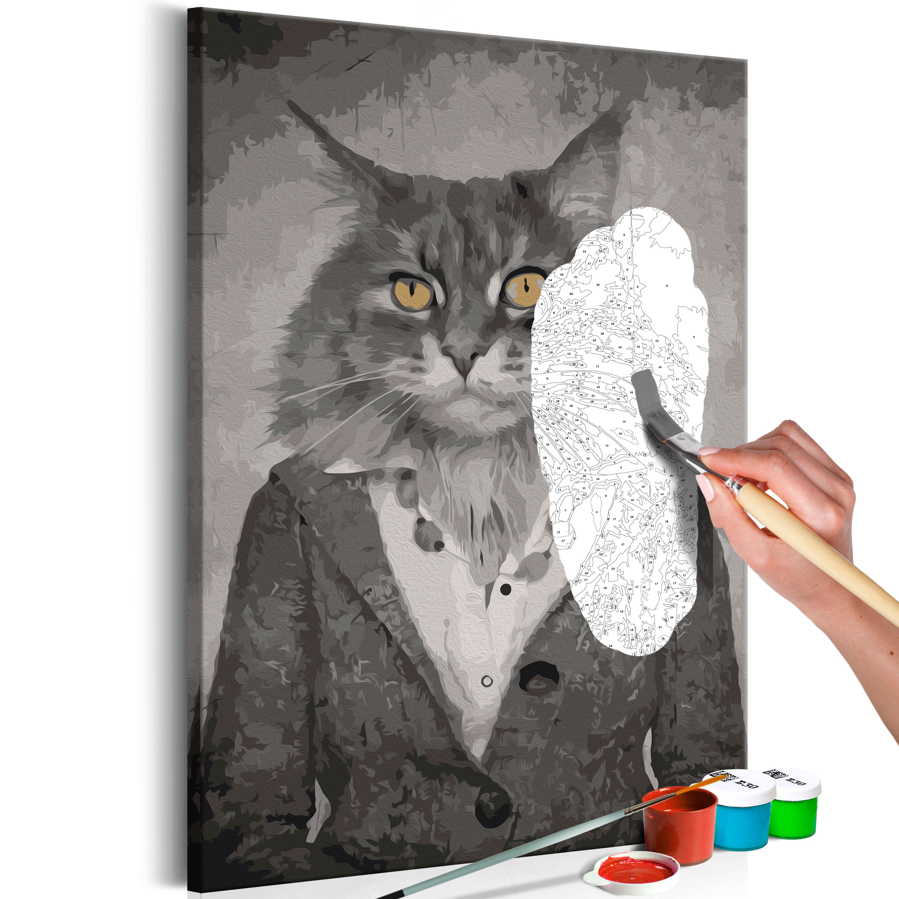 DIY canvas painting - Elegant Cat - 40x60