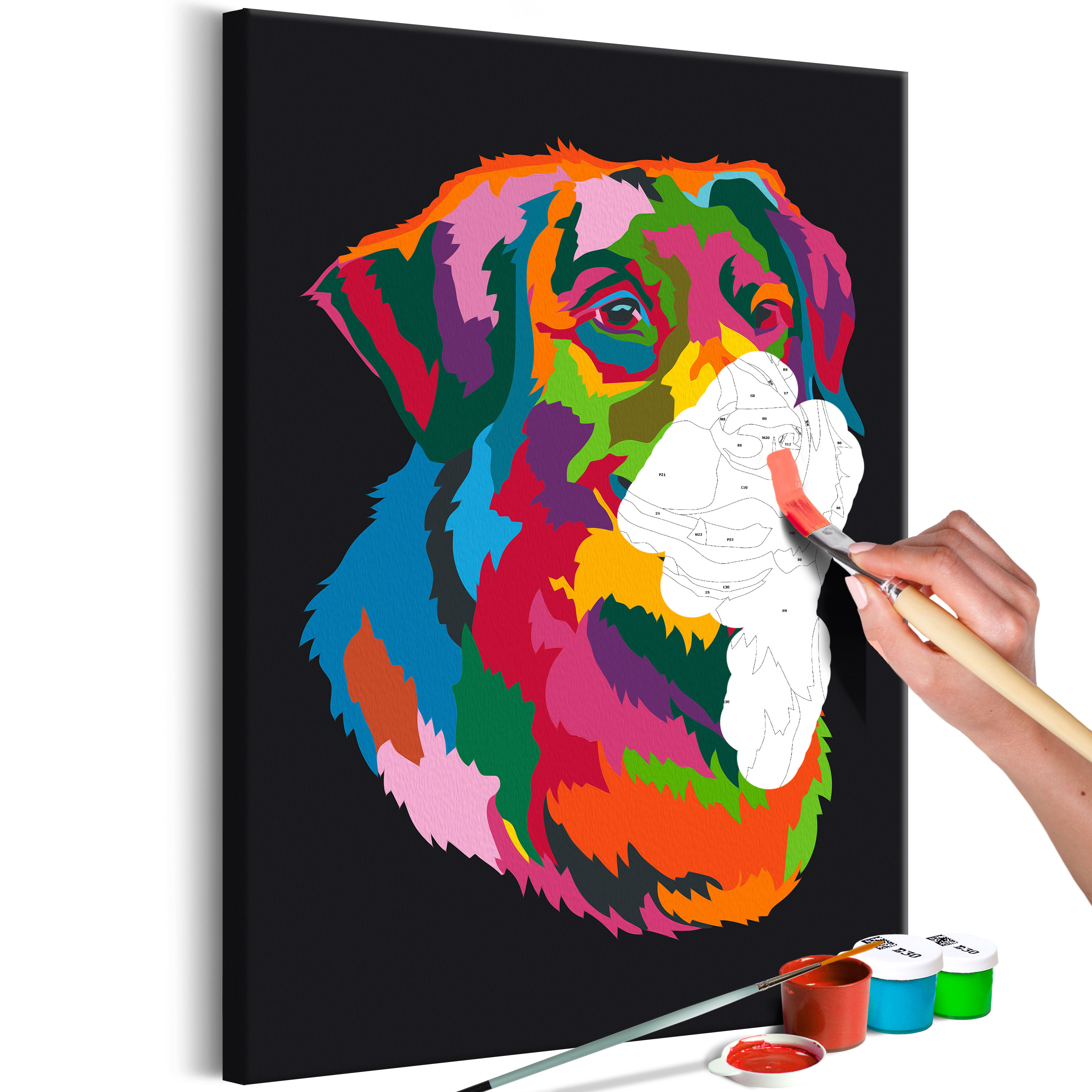 DIY canvas painting - Colourful Dog - 40x60