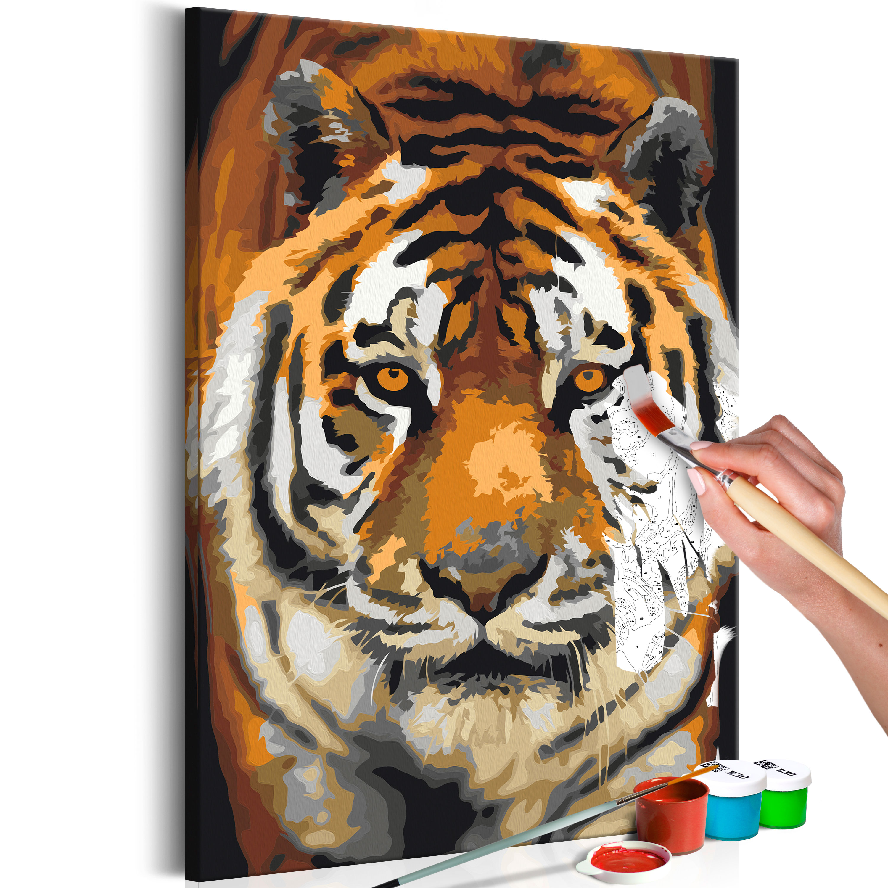 DIY canvas painting - Asian Tiger - 40x60