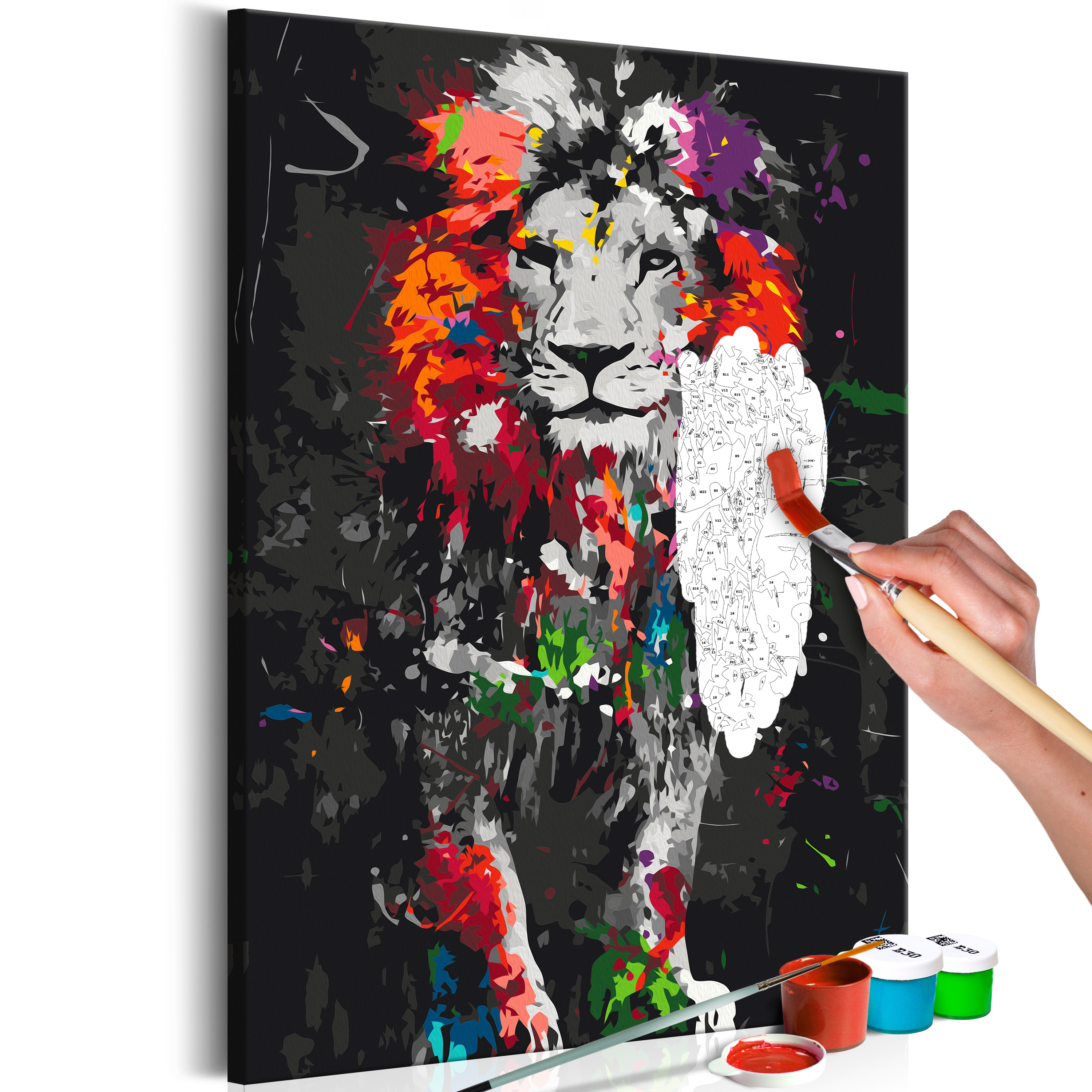 DIY canvas painting - Colourful Animals: Lion - 40x60