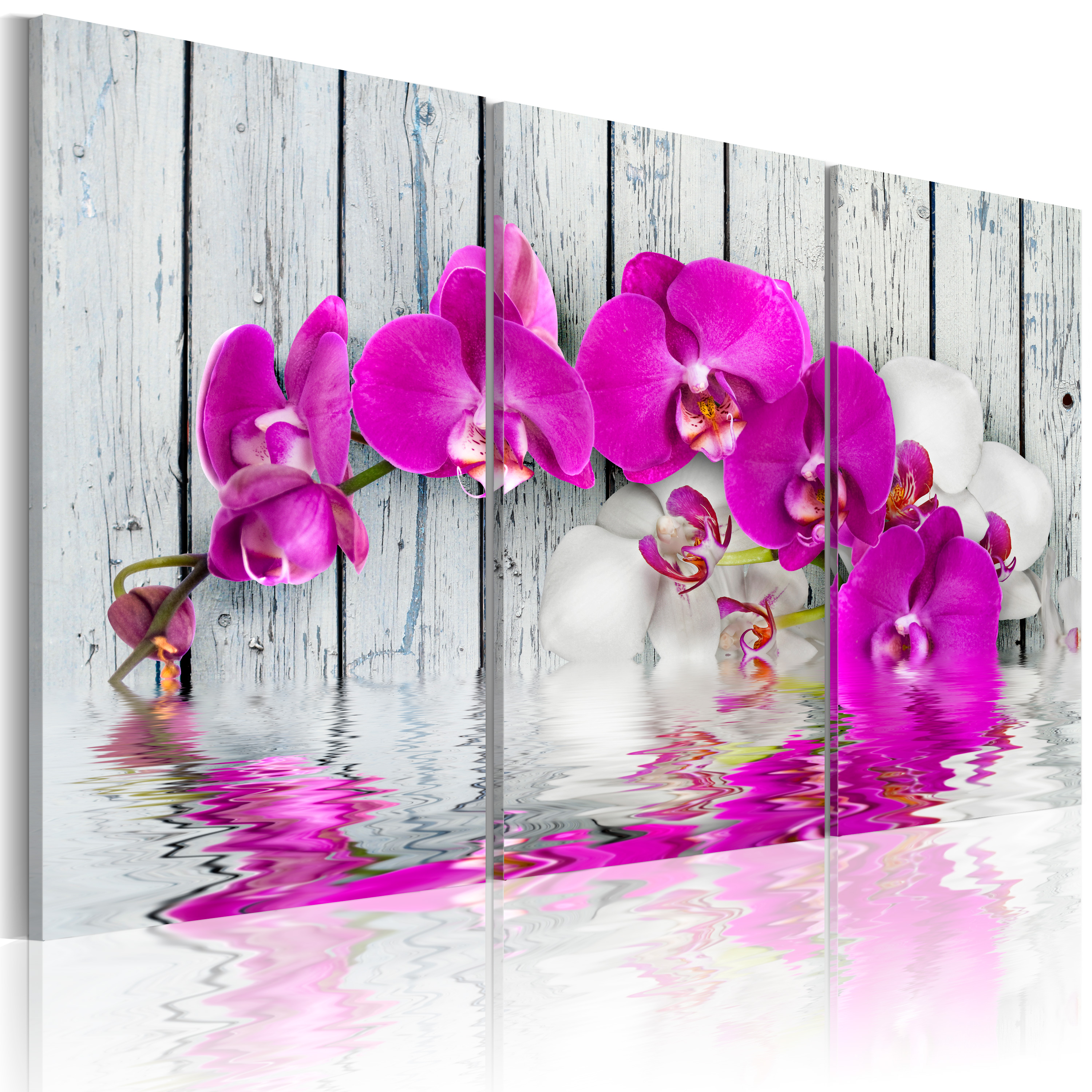 Canvas Print - harmony: orchid - Triptych - 120x80