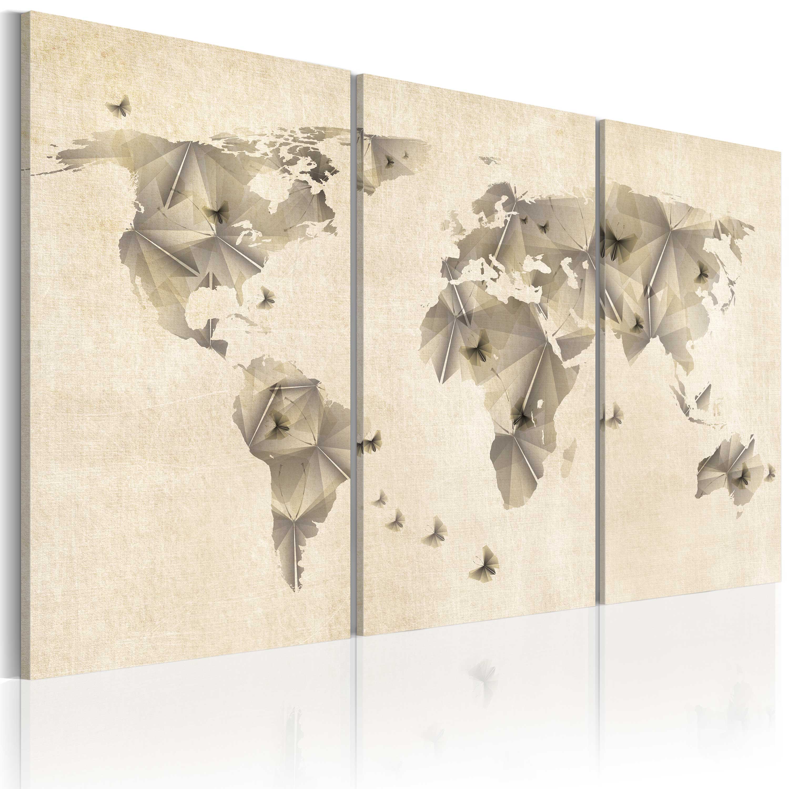 Canvas Print - Atlas of butterflies - triptych - 90x60