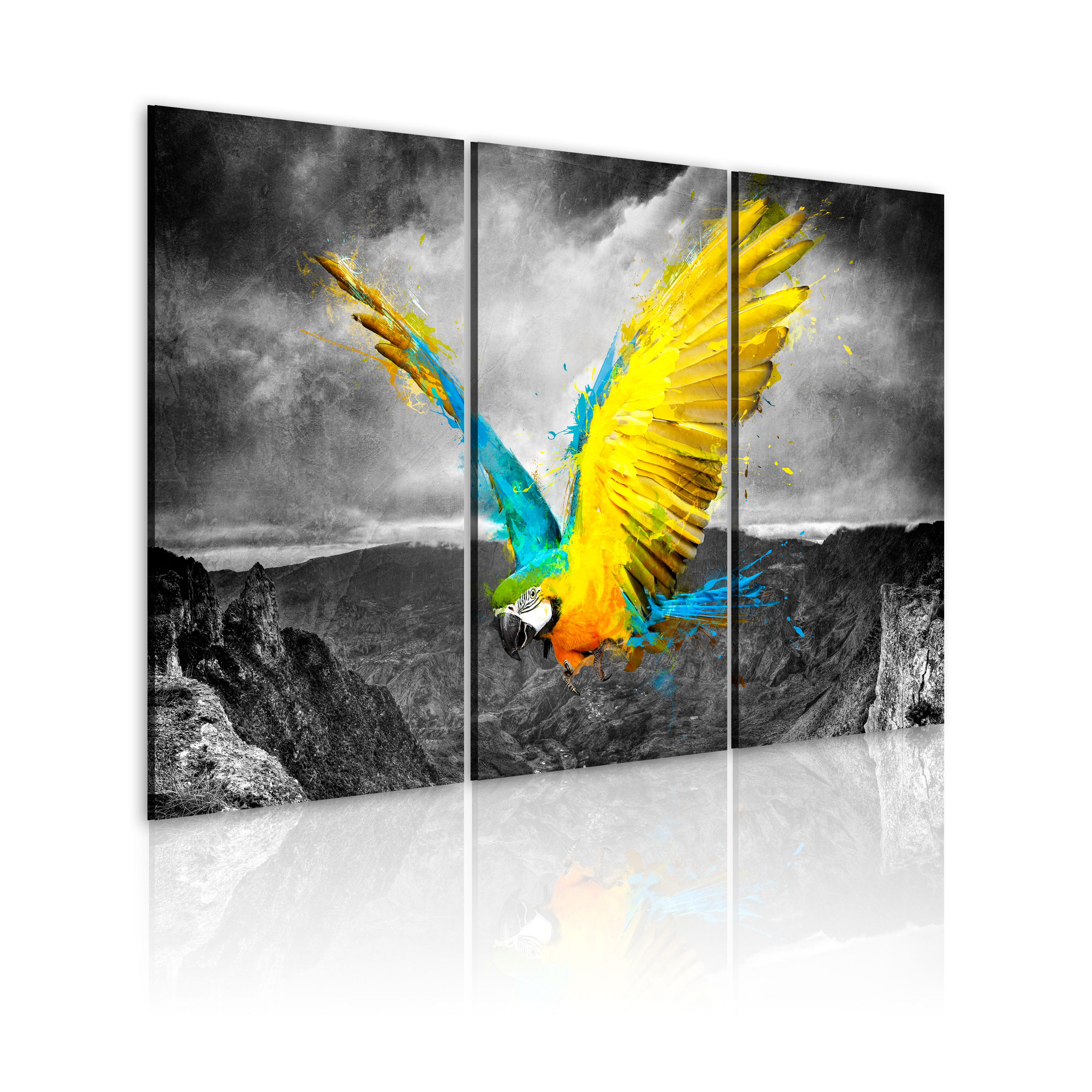 Canvas Print - Bird-of-paradise - 60x40